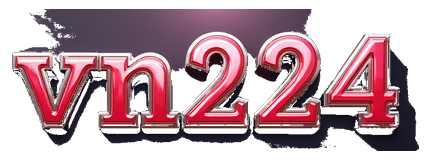 vn224 logo